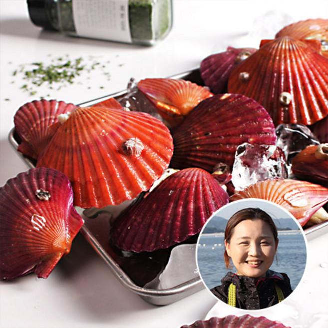 당일조업 통영직송 비단 가리비 1kg(25-30미내외), 1박스, 1kg