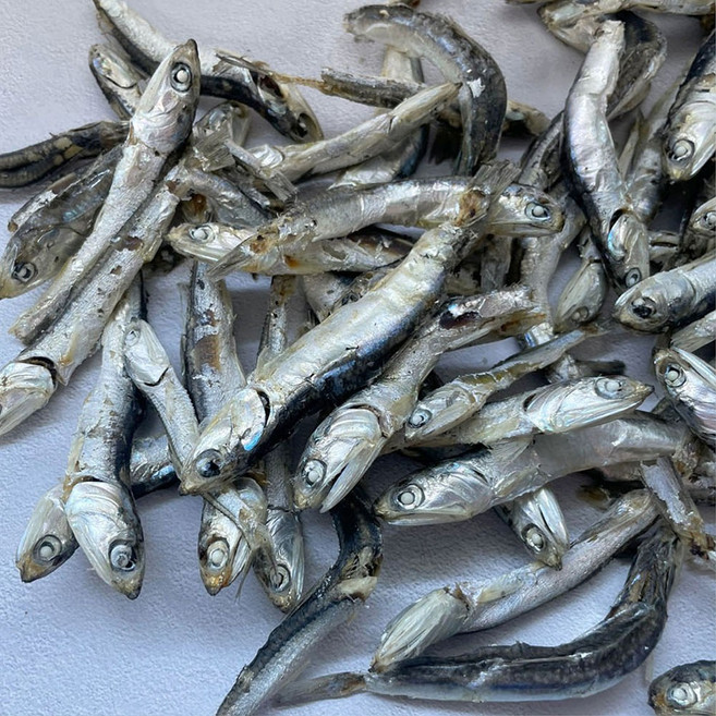 울돌목 국내산 남해안 일반 굵은 다시멸치, 1kg, 1개, 1kg