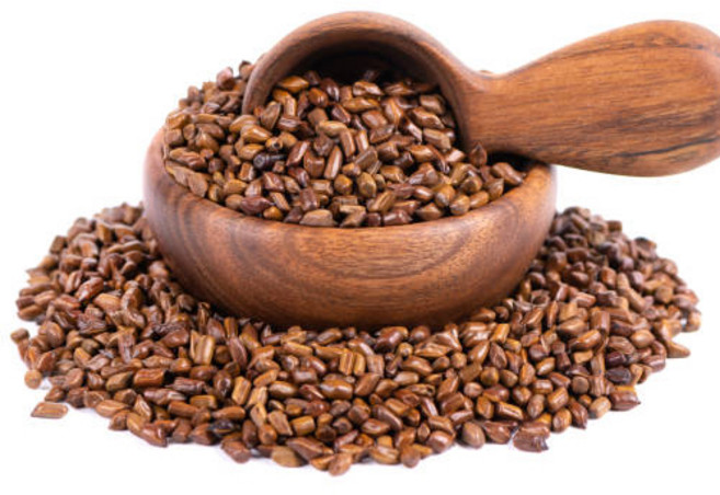 미담 정성담은 볶은 결명자 500g, 1개, 1개입