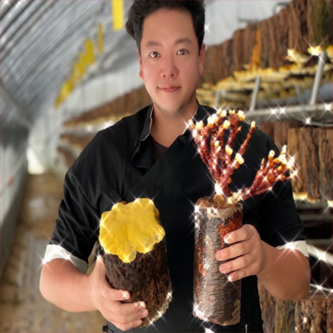 20시간 달인 상황버섯 진액 액기스 고압저온추출 30포 성분파괴X, 1개, 2.4L