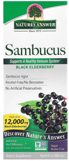 Nature's Answer Sambucus Black Elderberry Alcohol-Free 2 500 mg 8 fl oz 240 ml, 236.588 ml, 1개, 120ml - 쿠팡