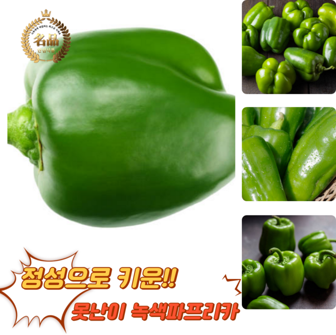 [굿피플] 청피망 청파프리카 초록피망 파프리카 피망 피망파프리카 못난이청피망 홍피망, 1박스, 청피망 2kg [특품]