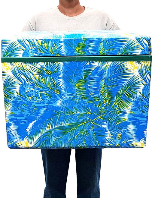 대원 스티로폼 아이스박스 업소형 대형, 블루, 80L