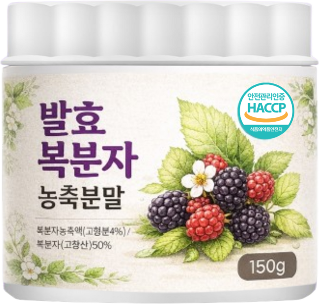 고창산 발효 복분자 농축 분말 가루 플란타 김치유산균 HACCP 인증, 1개, 150g