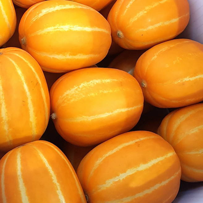 [디어메딕] 성주 참외 고당도 프리미엄 꿀참외, 1박스, 소과 2kg