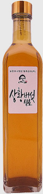 발효순이 상황버섯식초 /마시는 자연발효건강초, 1개, 500ml
