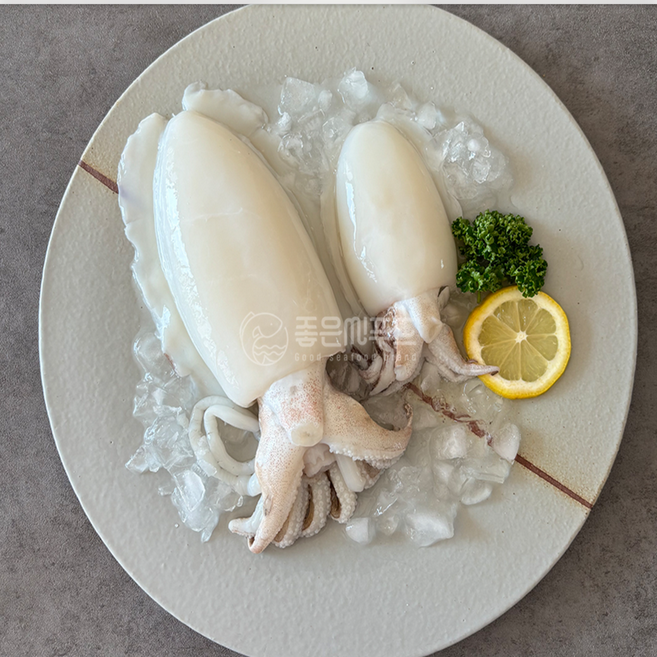 손질 통갑오징어 2미 200g 무침 볶음 밥상오징어요리, 1개