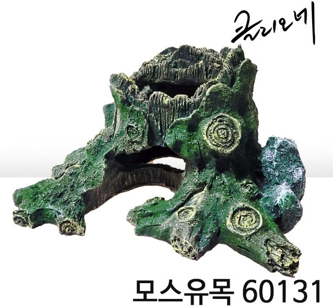 클리오네 모스유목L 60131, 1개