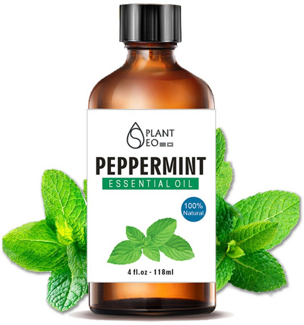 닥터월드 뷰티 아로마 에센셜오일 118ml 대용량, 민트향