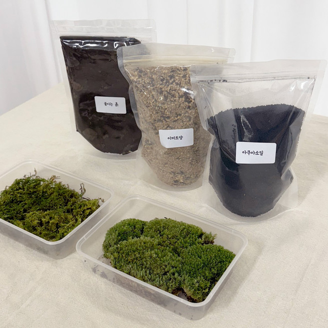 이끼 테라리움 만들기 diy 키트 테라리움 재료 모음 세트 중형 1개