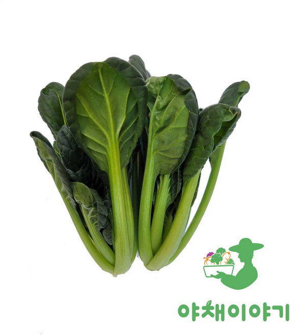 야채이야기 싱싱한 비타민 2kg (1.8kg - 2kg) 다채, 1박스