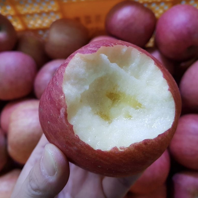 [유명산지] 단독특가 가정용 꿀 못난이 사과, 1박스, 4kg