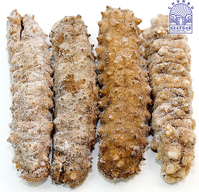 냉동 해삼 루비해삼 불린해삼 고급 중식 요리 재료, 1개, 550g