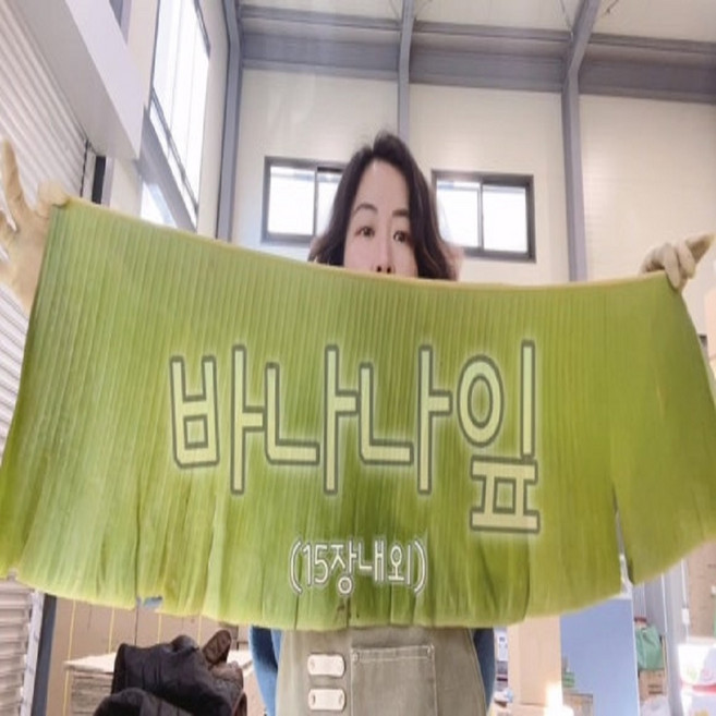 테라팜 바나나잎 1KG 장식용 베트남 생잎, 1개