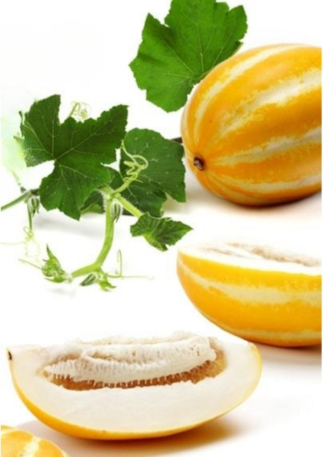 고당도 경북 성주참외 2kg 대과 초고당도 꿀참외, 1세트, 참외 3kg (랜덤과가정용)