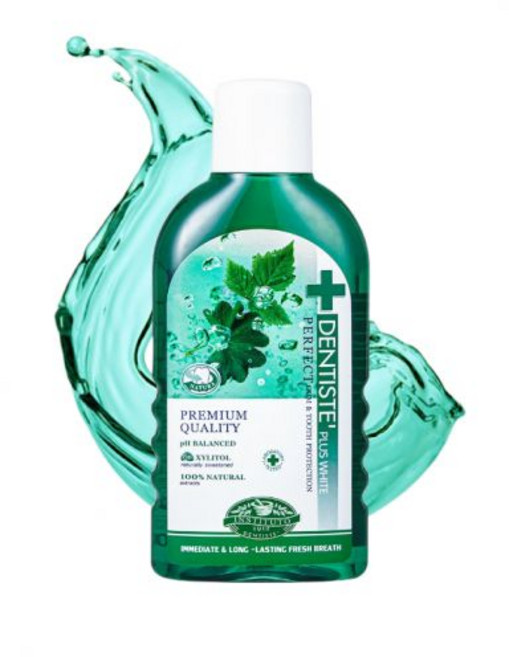 덴티스테 가글 내츄럴 오랄린스 450ml 1개