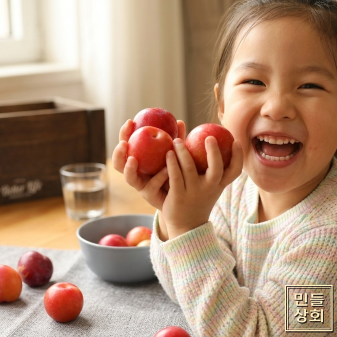 국내산 자두 피자두 대석자두 고당도 임산부선물 꿀당도 햇수확 중과, 1개, 500g(중소과)