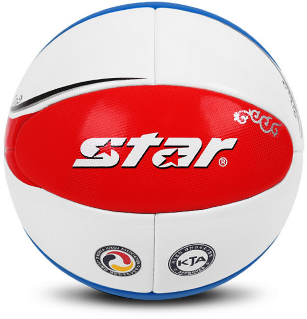 스타 태극 족구공