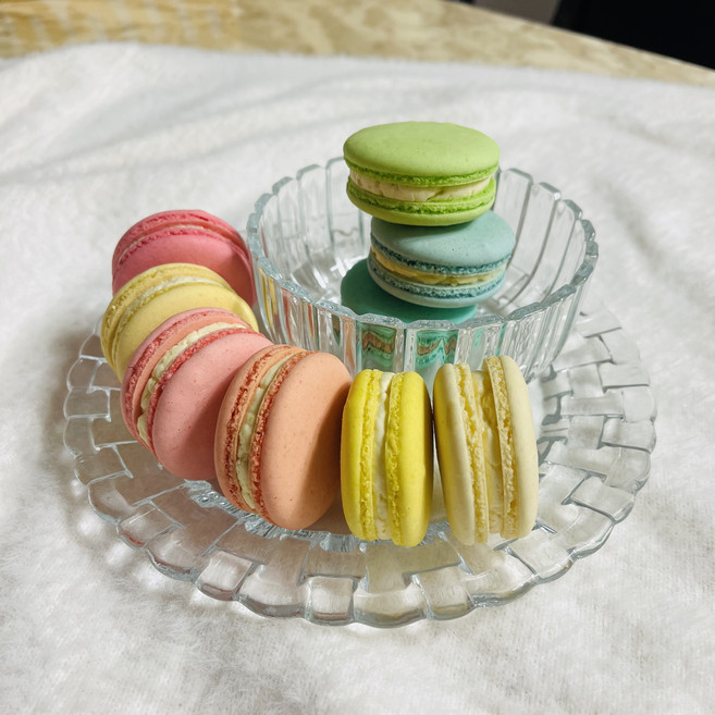 단디 [단디 수제 마카롱 1종(40개)~9종(360개)], 20g, 240개