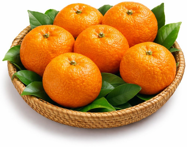 [재구매율1위] 제주 카라향 초고당도 프리미엄 귤 선별 최상품 디아머스, 1박스, 5kg (대과)