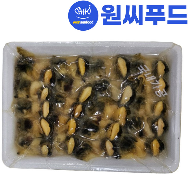 원씨푸드 초밥용 참소라살 12g 소라초밥 국내가공 미주통상 초밥재료 초참소라살 초피뿔고동, 1개