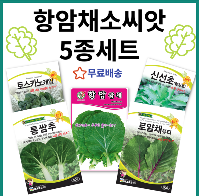 주주씨앗 항암 쌈채소 씨앗 5종세트 항암쌈채 로얄채 토스카노케일 통쌈추 신선초, 1개