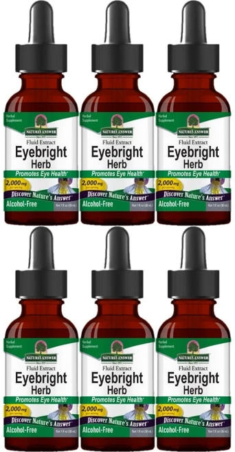 네이처스앤서 고흡수 아이브라이트 허브 2000mg 액상 액체, 6개, 30ml - 쿠팡