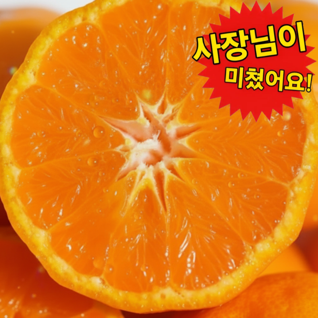 [하루100박스만] 고당도 상큼한 제주 카라향, 1박스, 3kg