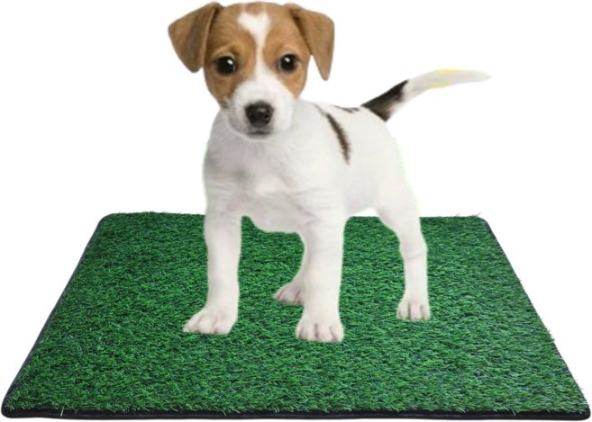 플렉스몰 논슬립 물세탁가능 대형 실내배변 배변패드 배변훈련 잔디배변판 인조잔디 소변패드 잔디화장실, 1개, 그린