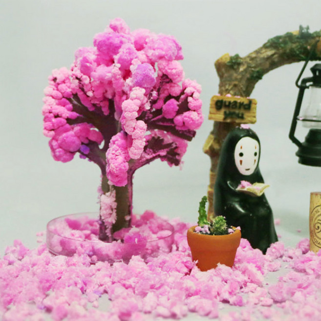 매직사쿠라 벚꽃 나무 키우기 DIY 키트, 1개