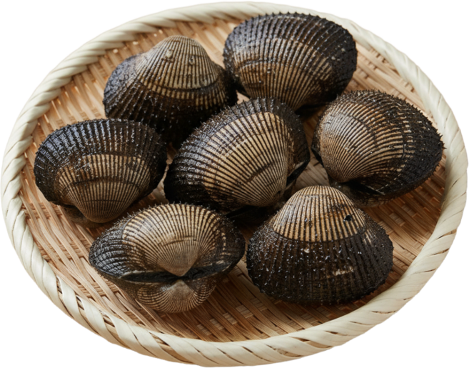 거제도 왕 피꼬막 남해안 제철 살이꽉찬 왕꼬막 피조개, 1박스, 1kg