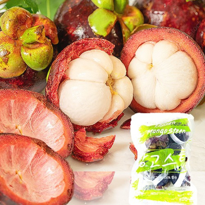 냉동 망고스틴 500g 1개 2개 냉동과일 열대과일 /아이스팩 아이스박스 포함