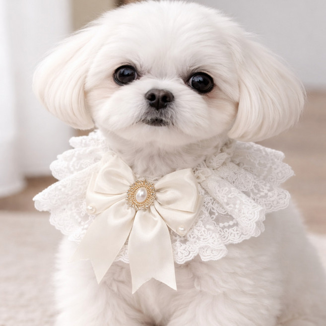YIXUAN 애완용품 강아지 고양이 파티용 케이프 목걸이 스카프 목수건, 1개, 화이트
