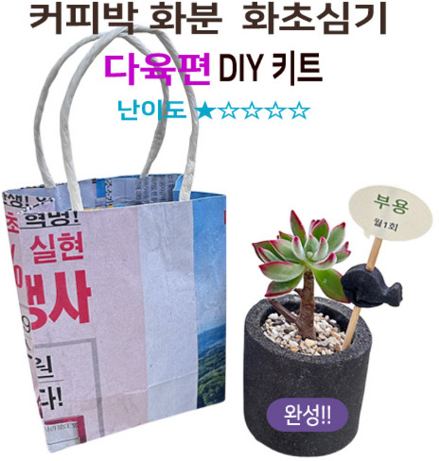 커피 화분 에코 플랜트(다육) 환경 교육 키트 교구 커피 찌꺼기 화분 꾸미기, 염좌