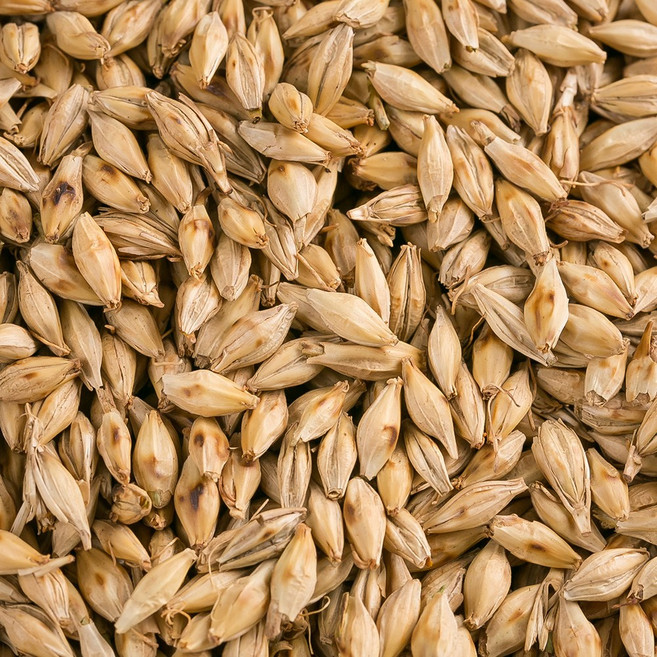 국산 맥아(보리) 1kg, 1개