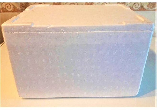 台塑食品 XO白色之戀 牛奶雪糕, 保麗龍【空】大箱【容量51支～160支】