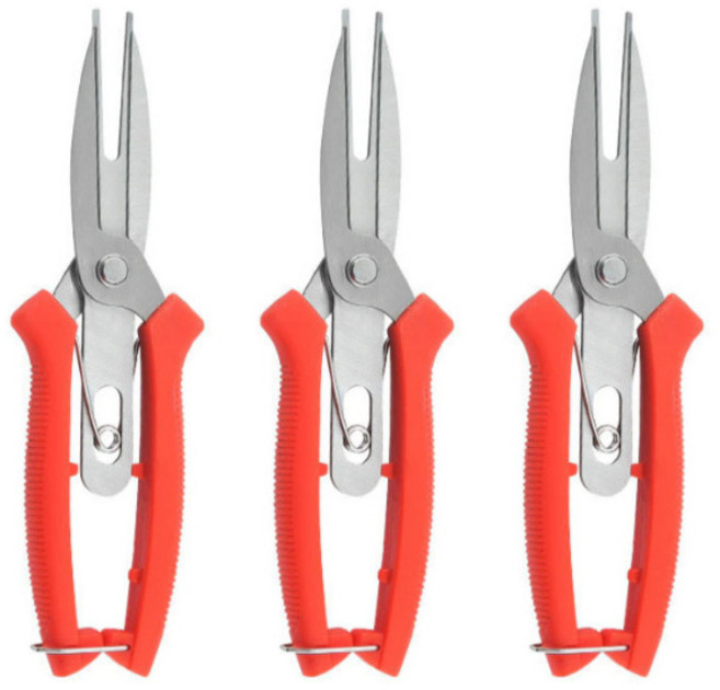 적과 가위 과일 알솎기 가위 3개입, 1세트