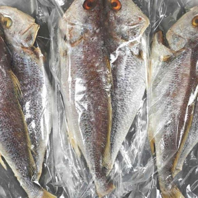 반건조 민어 특대 포 42cm 내외, 1개