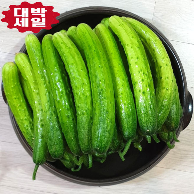 [한정판 할인] 백오이 새벽에 갓 수확한 싱싱하고 아삭한 청량음료 같은 맛, 1박스, 5kg