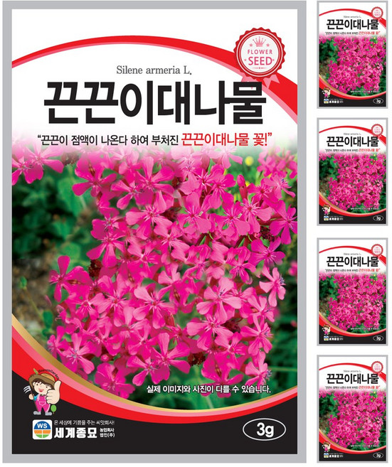 끈끈이대나물 씨앗 꽃씨 3g 꽃씨앗 세계종묘 모칸도, 5개