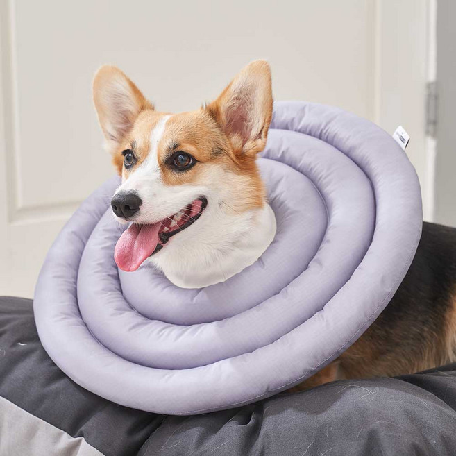 두유레디 강아지 넥카라 고양이 겸용 방수, 1개, 그레이