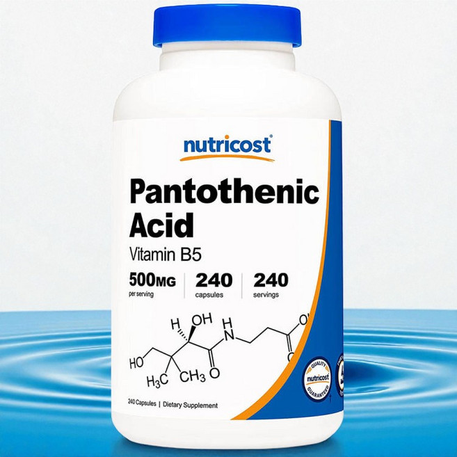 뉴트리코스트 비타민B5 판토텐산 500mg 240캡슐 240일분, 1개
