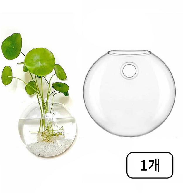 그린스하비 벽걸이 유리 화병 꽃병 수경식물 벽걸이용, 투명