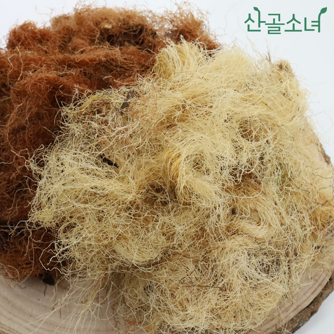 산골소녀 국내산 옥수수수염 원물, 100g, 1개
