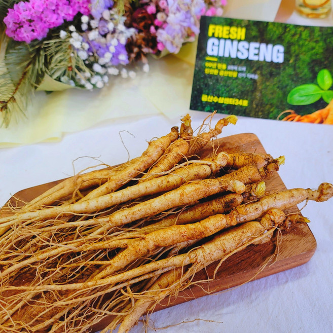 고려인삼 삼계탕용 인삼차 튀김 수삼 6년근 생인삼 '소'삼계, 1개, [세척안함] 500g