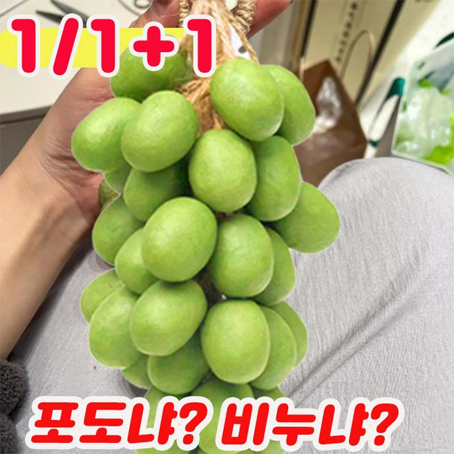 1/1+1 포도모양비누 세안 비누 천연비누 수제비누 핸드워시 인테리어 장식 이사 신혼선물 집들이선물 그린, 1개