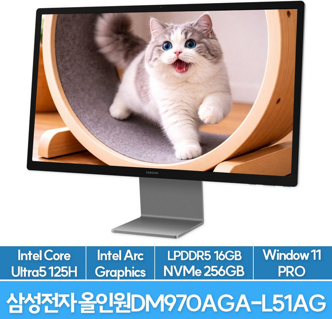 삼성전자 올인원 프로 DM970AGA-L51AG, WIN11 Pro, 256GB, 16GB, 그레이