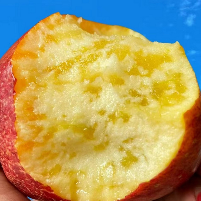 [역대급딜]한정물량 경북산지 신속배송 신선재배 사과, 1박스, 2kg