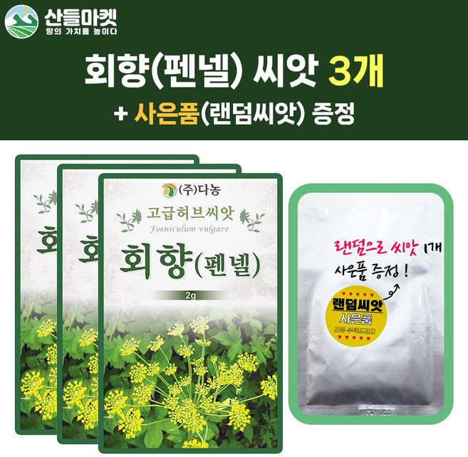 산들마켓 회향 씨앗 2g 펜넬 산미나리 꽃씨 허브 종자 3개+랜덤씨앗1개 증정, 1세트