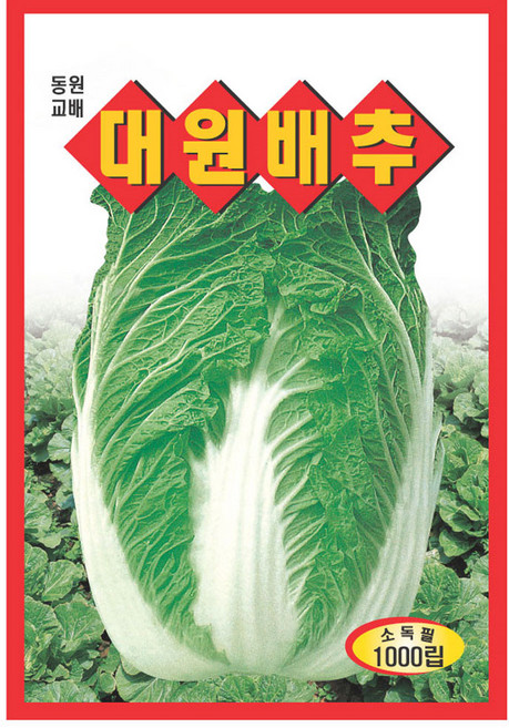 영농사 배추 씨앗 키우기 7종 재배 키트, 1세트